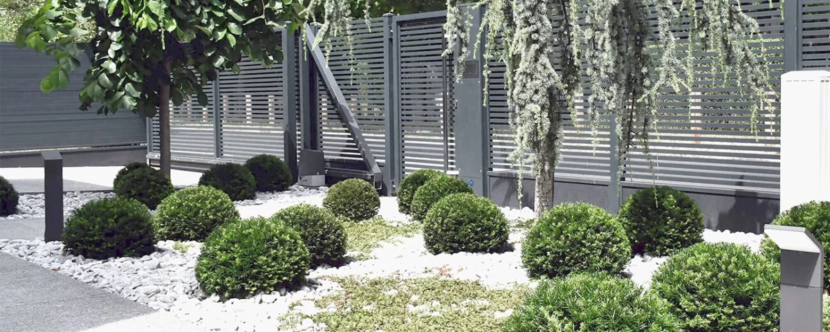 Starannie formowane rośliny ozdobne w ogrodzie minimalistycznym na wrocławskim Oporowie.