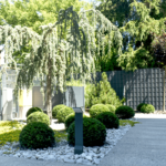 Projekt i realizacja ogrodu we Wrocławiu.