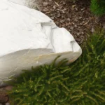 Kompleksowa realizacja oraz projekt ogrodów wrocław