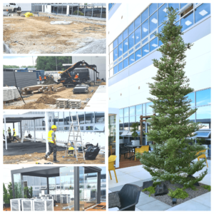 Proces projektowania ogrodów według Architektury Krajobrazu